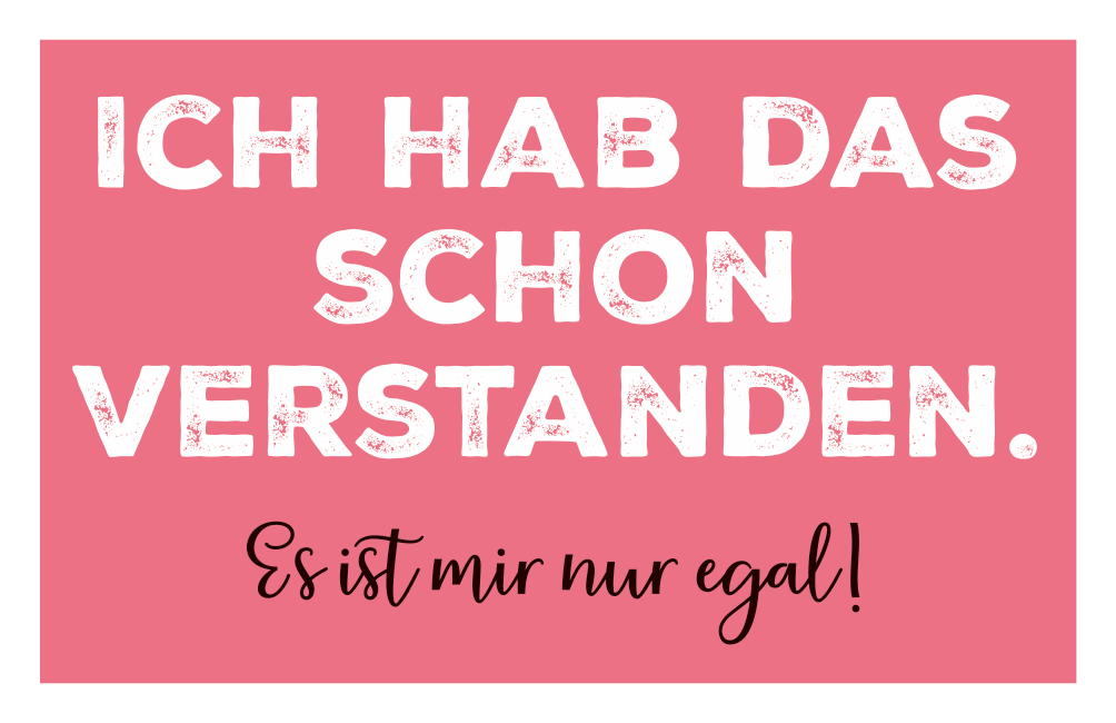 ICH HAB DAS SCHON VERSTANDEN - MAGNETE