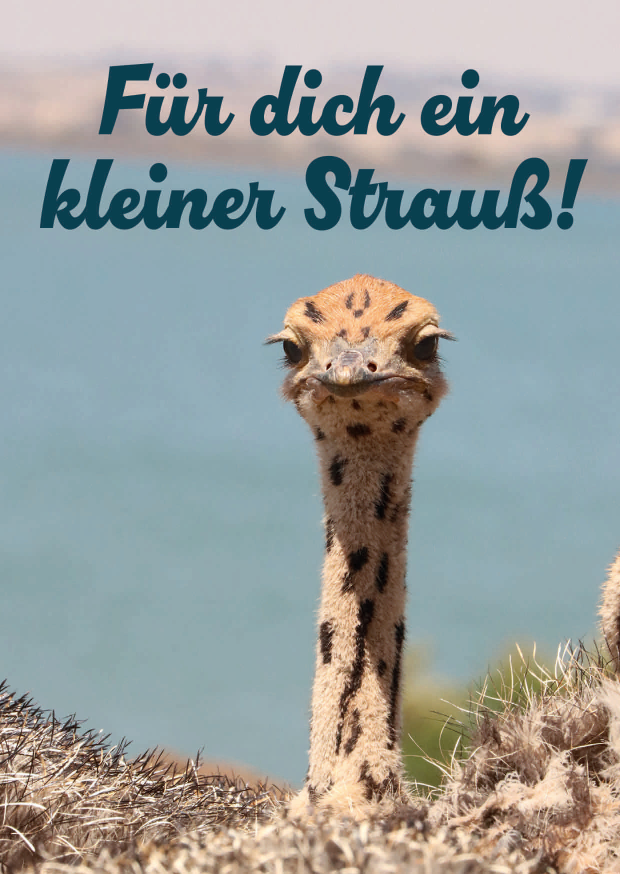 1107-146 FÜR DICH EIN KLEINER STRAUß!