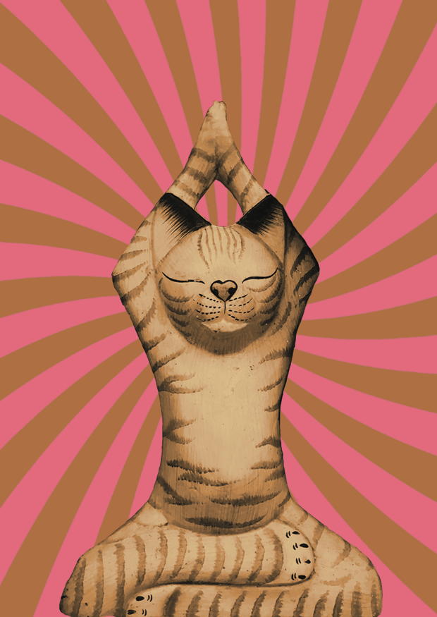 Yoga Cat