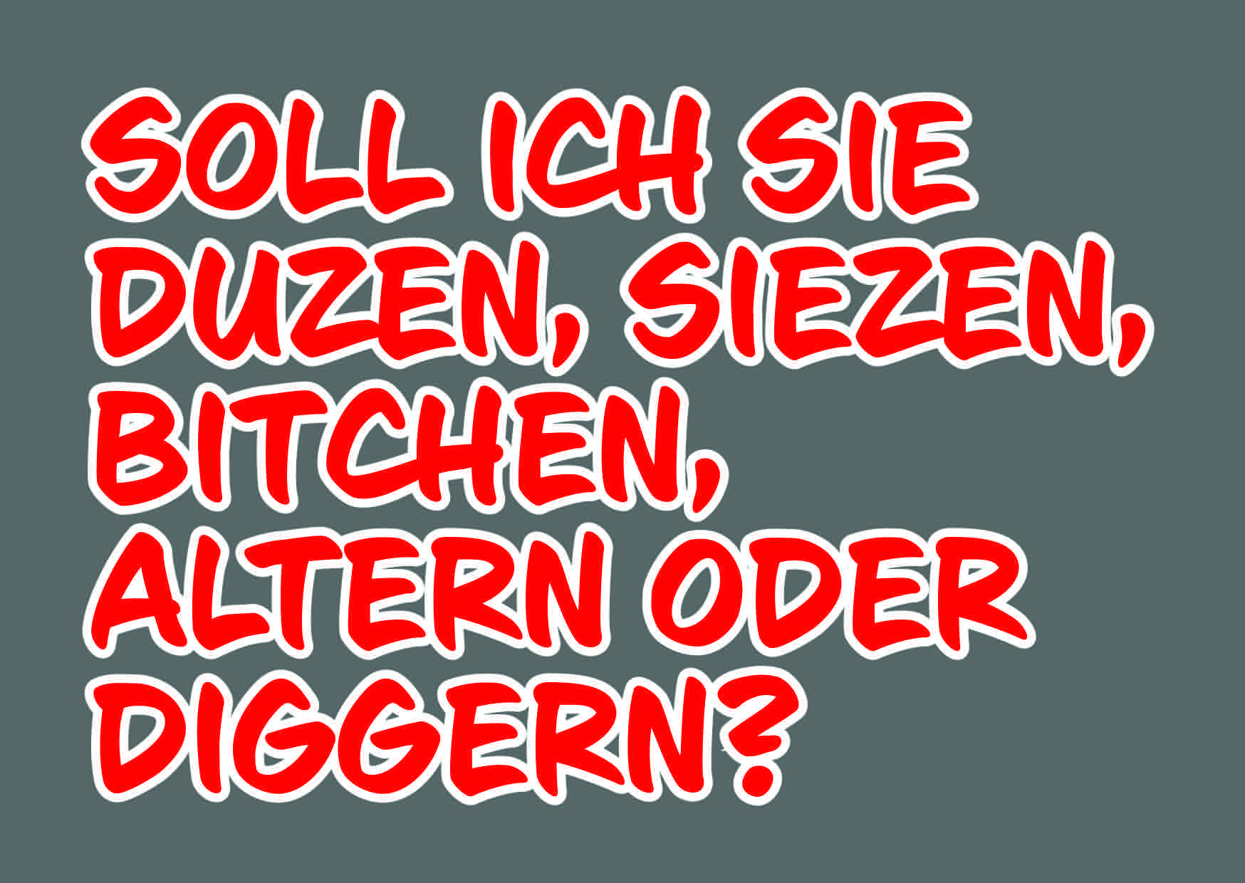 SOLL ICH SIE DUZEN