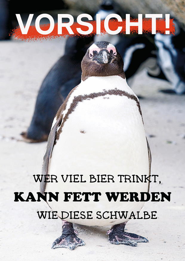 SCHWALBE