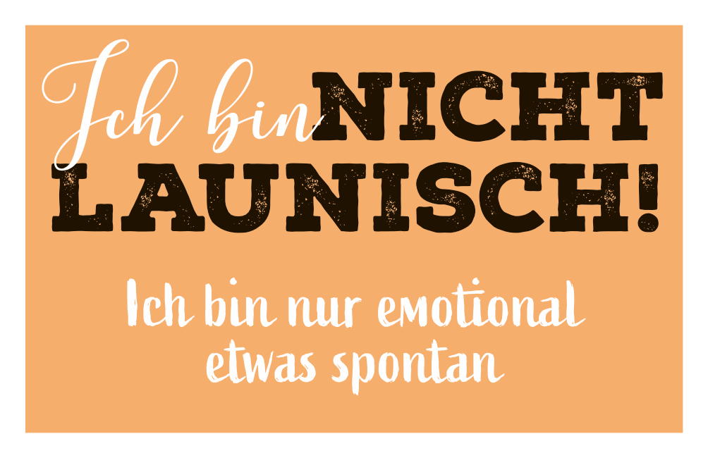 ICH BIN NICHT LAUNISCH - MAGNETE