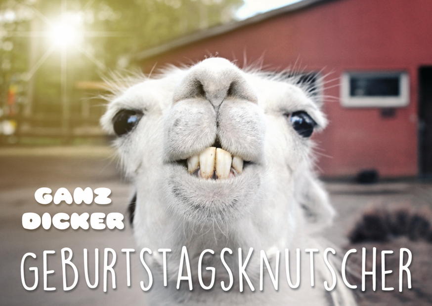 GEBURTSTAGSKNUTSCHER