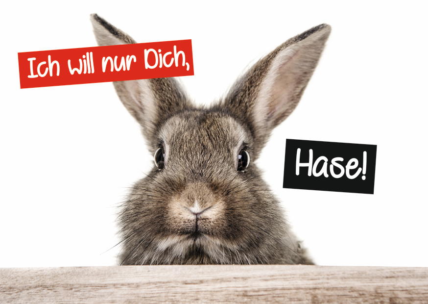 ICH WILL NUR DICH, HASE!