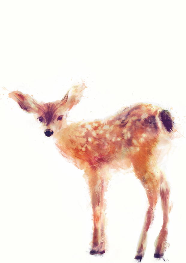 FAWN