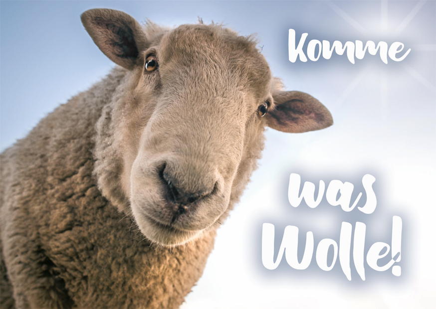 KOMME WAS WOLLE