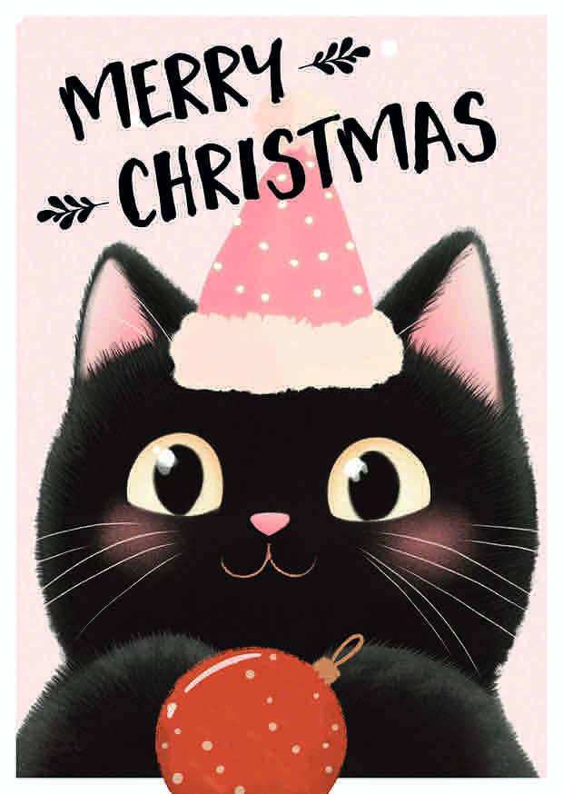 MERRY CHRISTMAS CAT WITH HAT