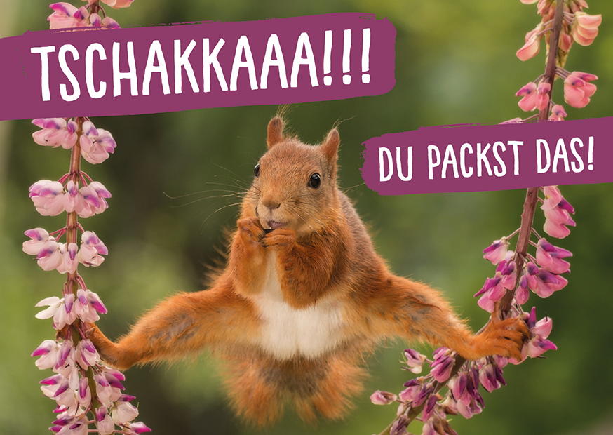 TSCHAKKAAA!!! DU PACKST DAS!