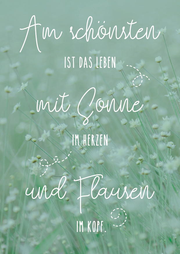SONNE IM HERZEN, FLAUSEN IM KOPF