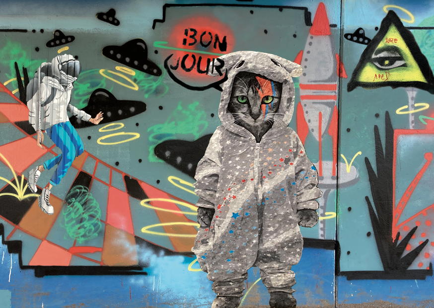 MAJOR TOMCAT (STREET ART)