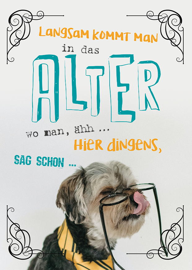 LANGSAM KOMMT MAN IN DAS ALTER
