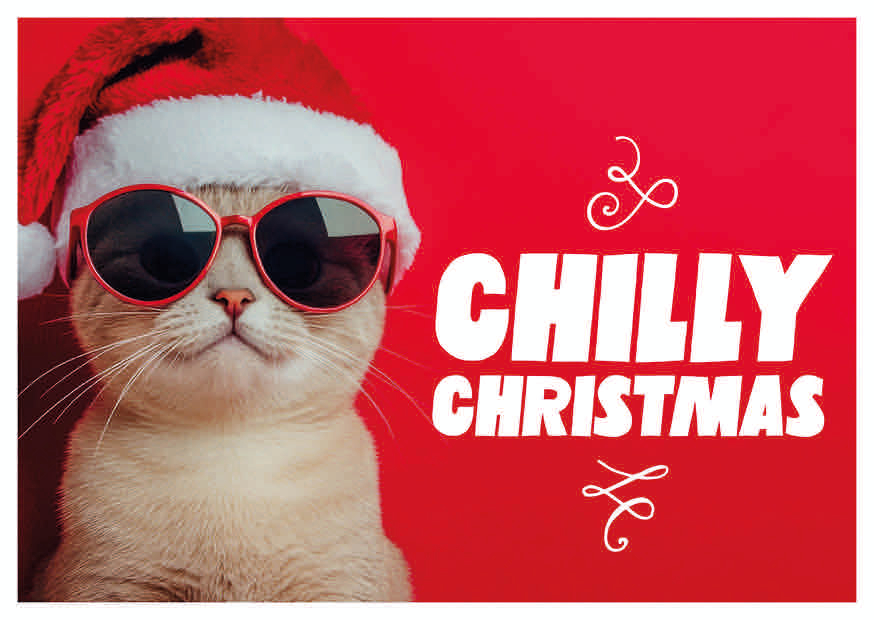 CHILLY CHRISTMAS CAT