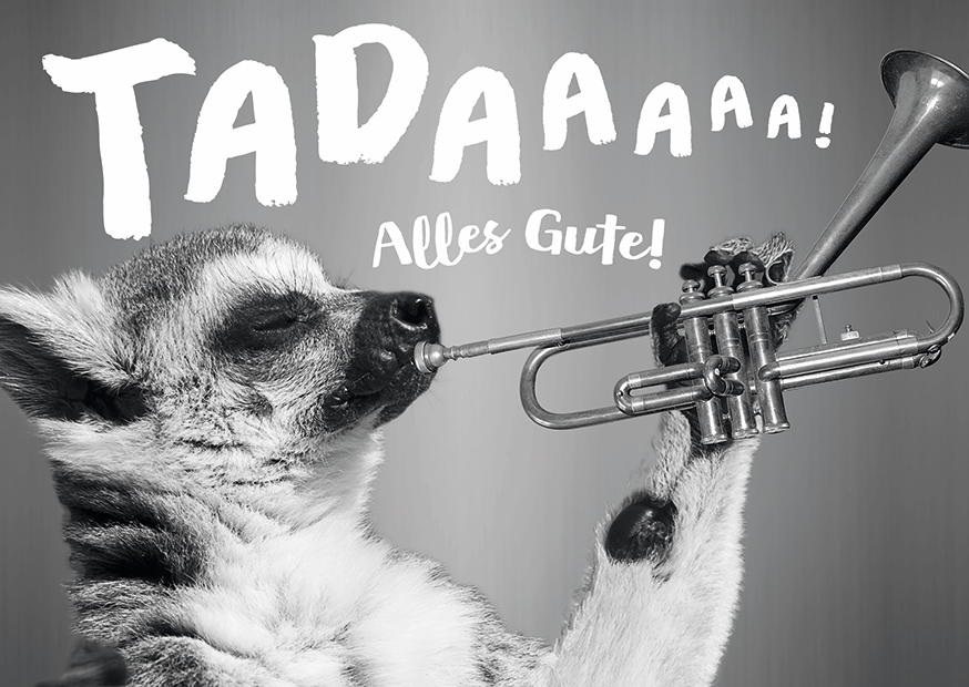TADAAAAA! ALLES GUTE!