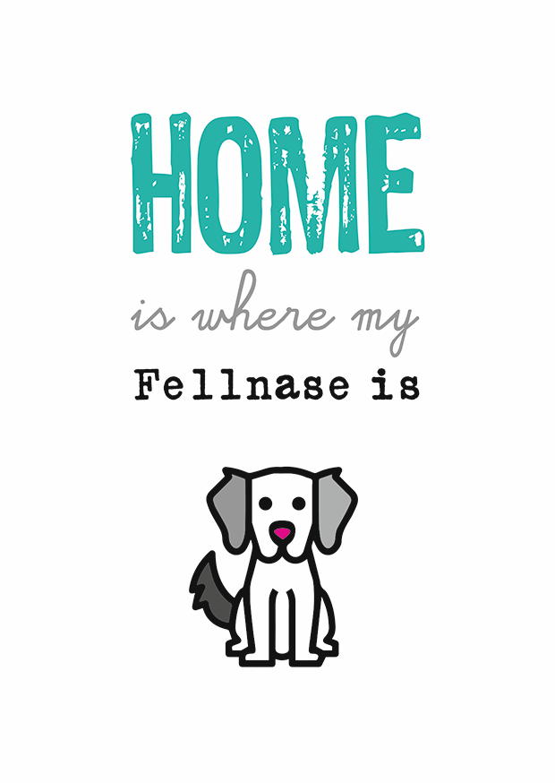 HOME IS WHERE MY FELLNASE  IS