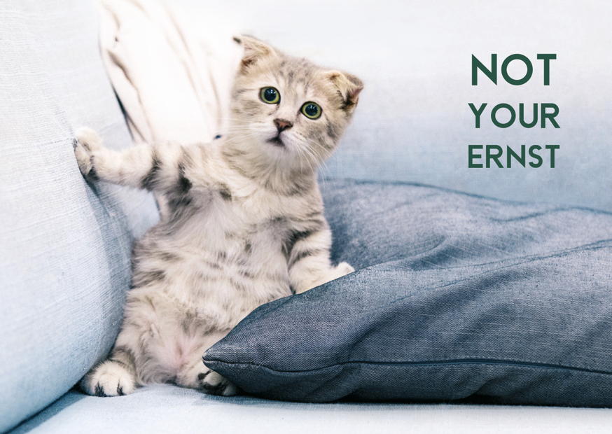 YOUR ERNST