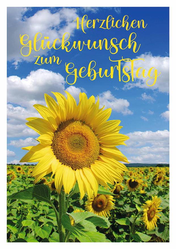 Herzlichen Glückwunsch Sonnenblume