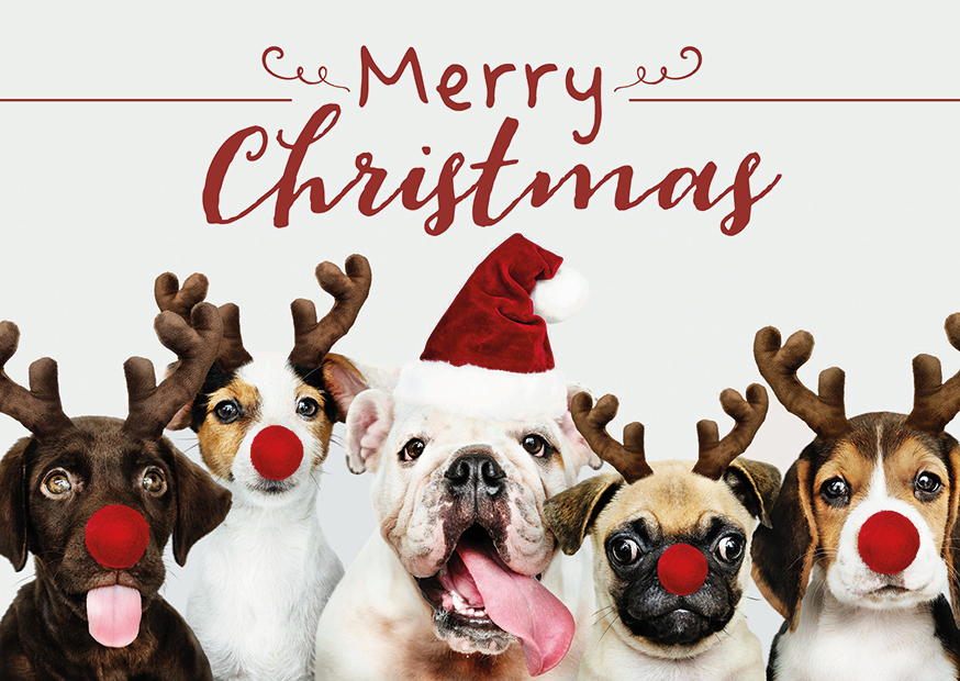MERRY CHRISTMAS DOGS