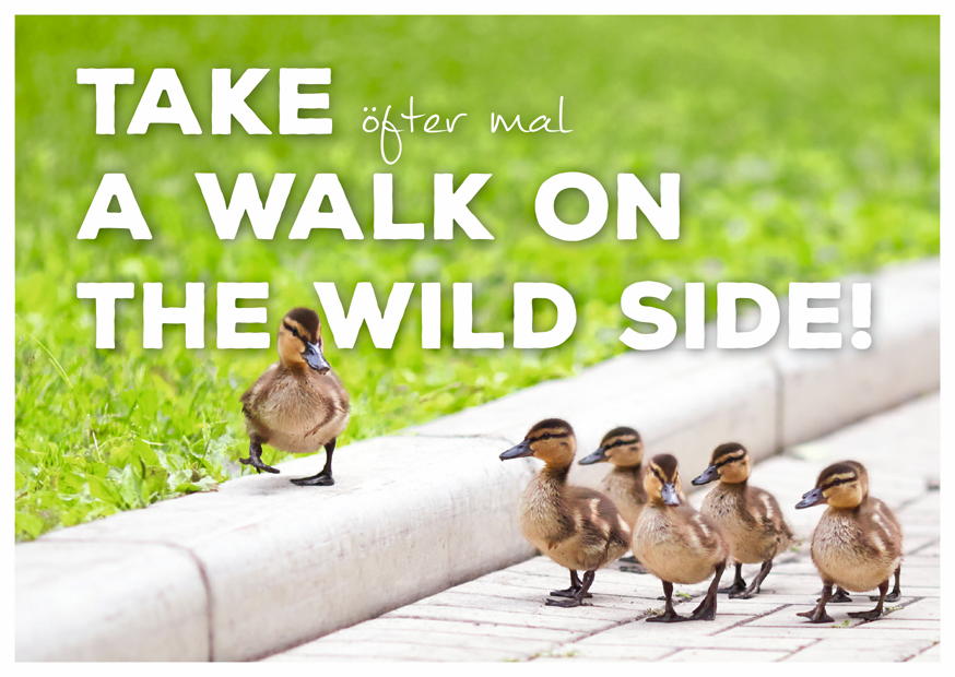 TAKE A WALK ON THE WILD SIDE