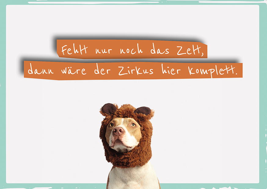 FEHLT NUR NOCH DAS ZELT