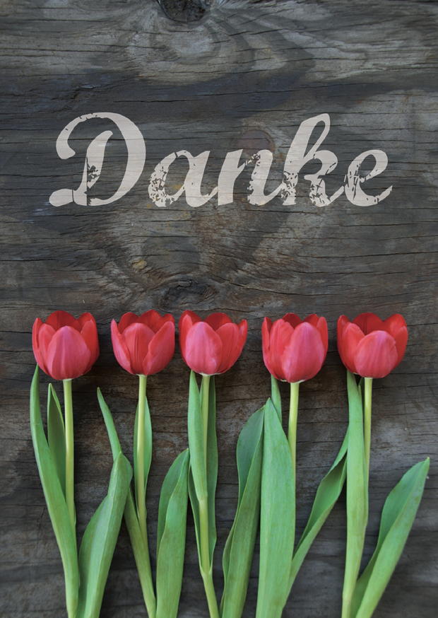 Danke Tulpen