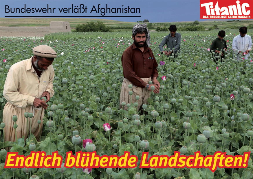 Blühende Landschaften Web - 39070497