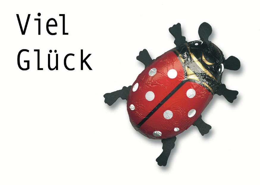 VIEL GLÜCK MARIENKÄFER
