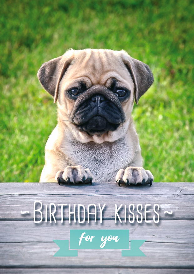 BIRTHDAY KISSES FOR YOU MOPS