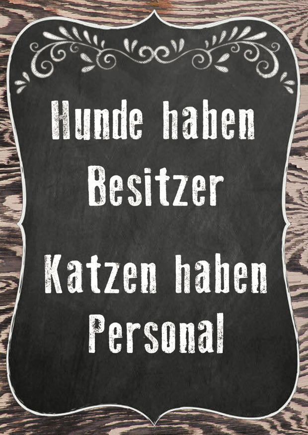 HUNDE + KATZEN