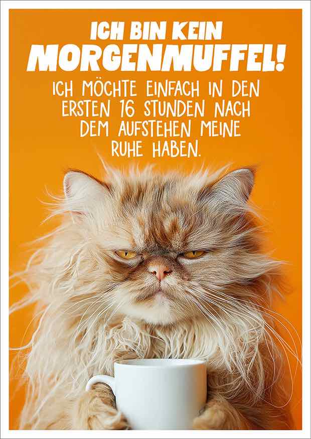 2607-1183 ICH BIN KEIN MORGENMUFFEL!