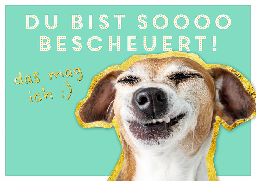 DU BIST SOOOO BESCHEUERT