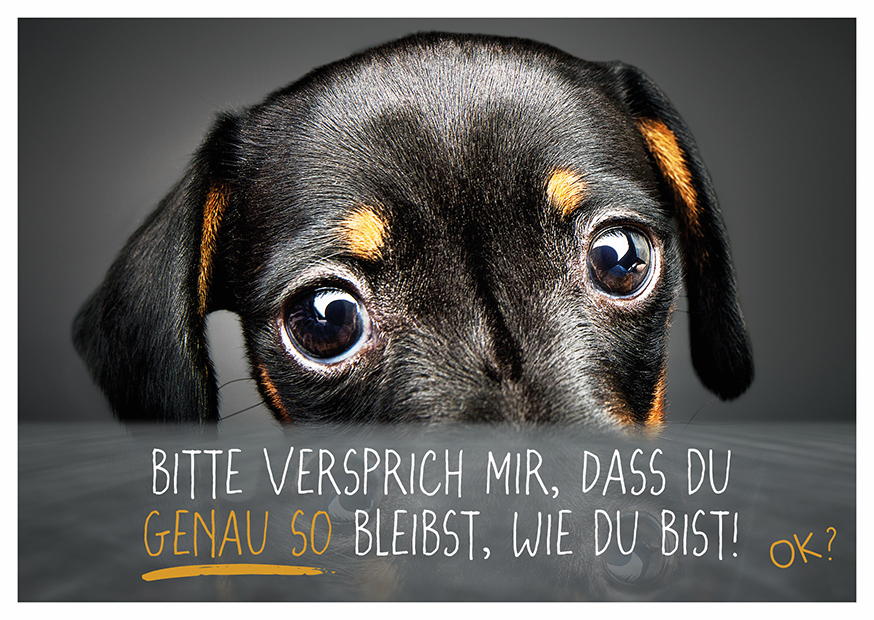 BITTE VERSPRICH MIR, DASS DU GENAU SO BLEIBST