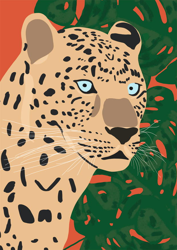 LEOPARD