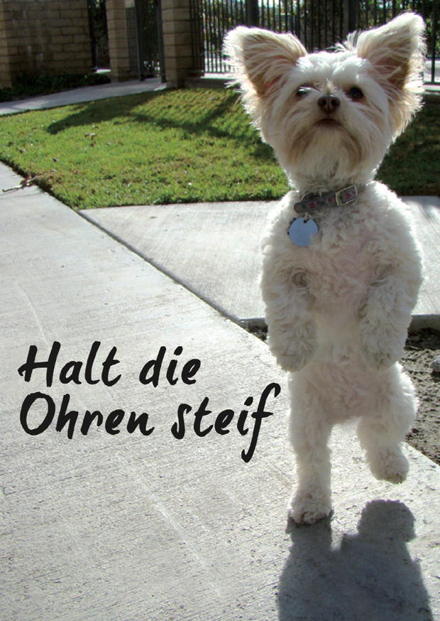 HALT DIE OHREN STEIF