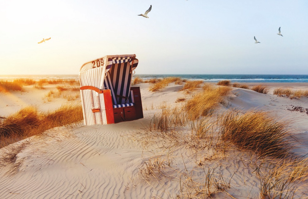 STRANDKORB - Magnete