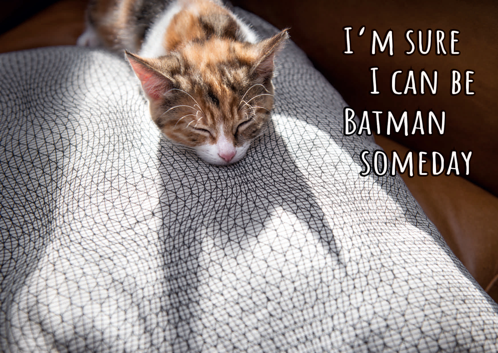 1107-154 BATMAN KATZE