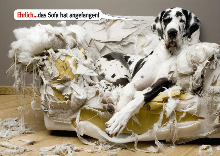 SOFA HAT ANGEFANGEN