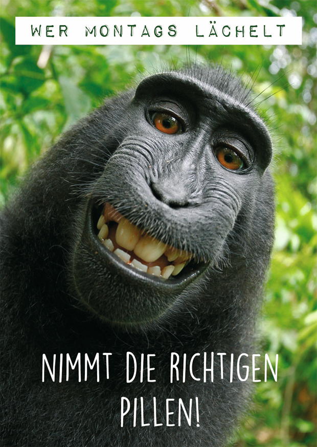 WER MONTAGS LÄCHELT