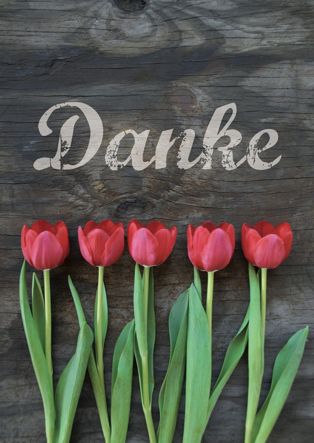 Danke Tulpen