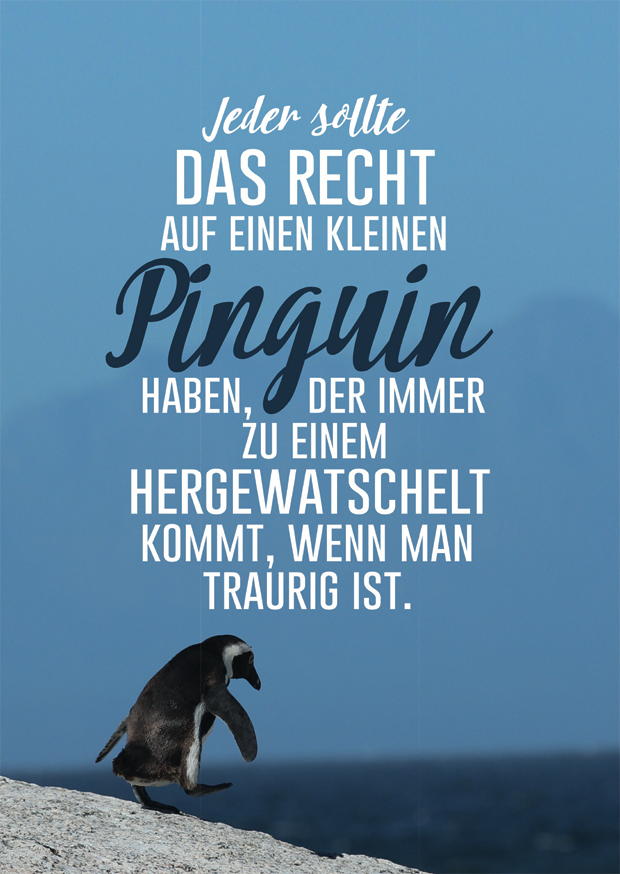 PINGUIN ZU EINEM HERGEWATSCHELT