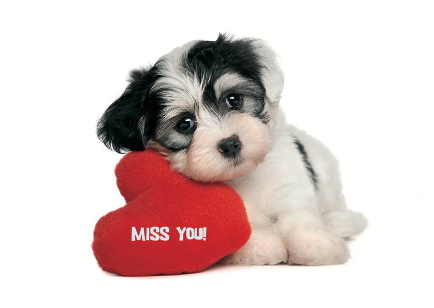 MISS YOU