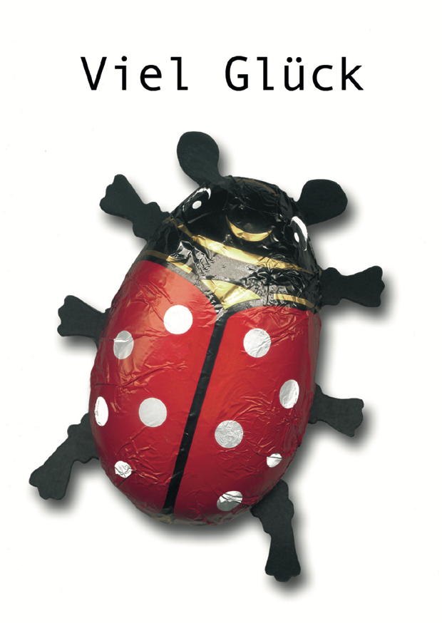 VIEL GLÜCK MARIENKÄFER