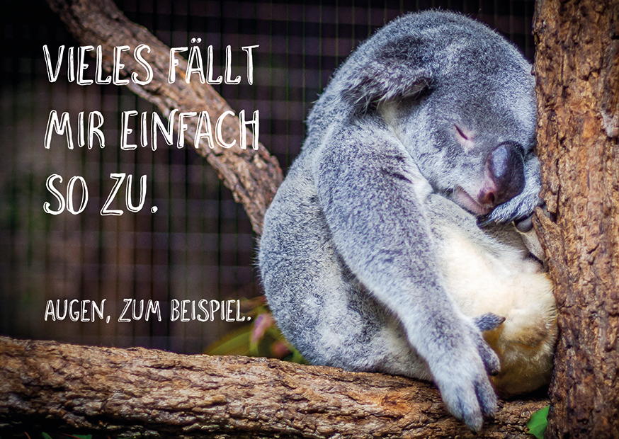 VIELES FÄLLT MIR EINFACH SO ZU