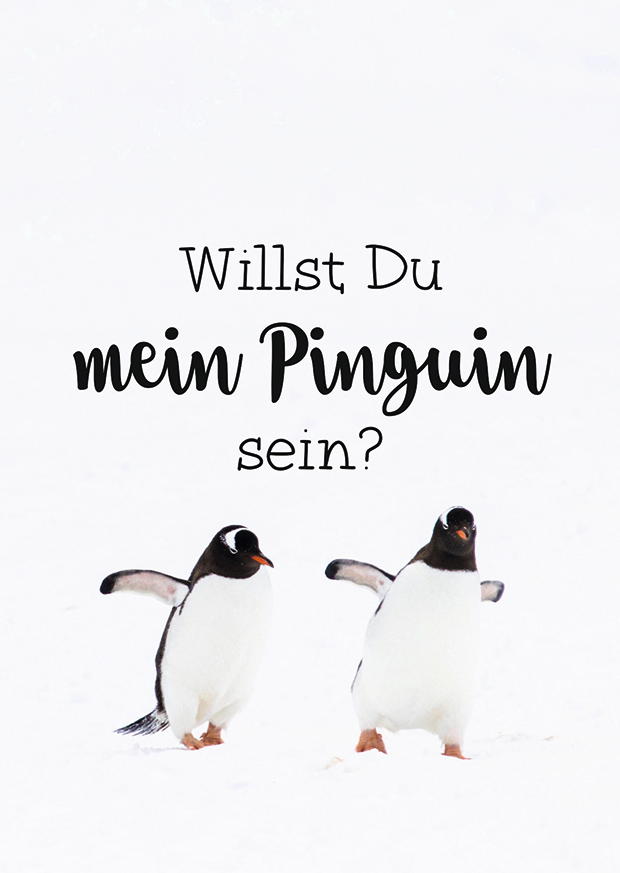 WILLST DU MEIN PINGUIN SEIN?
