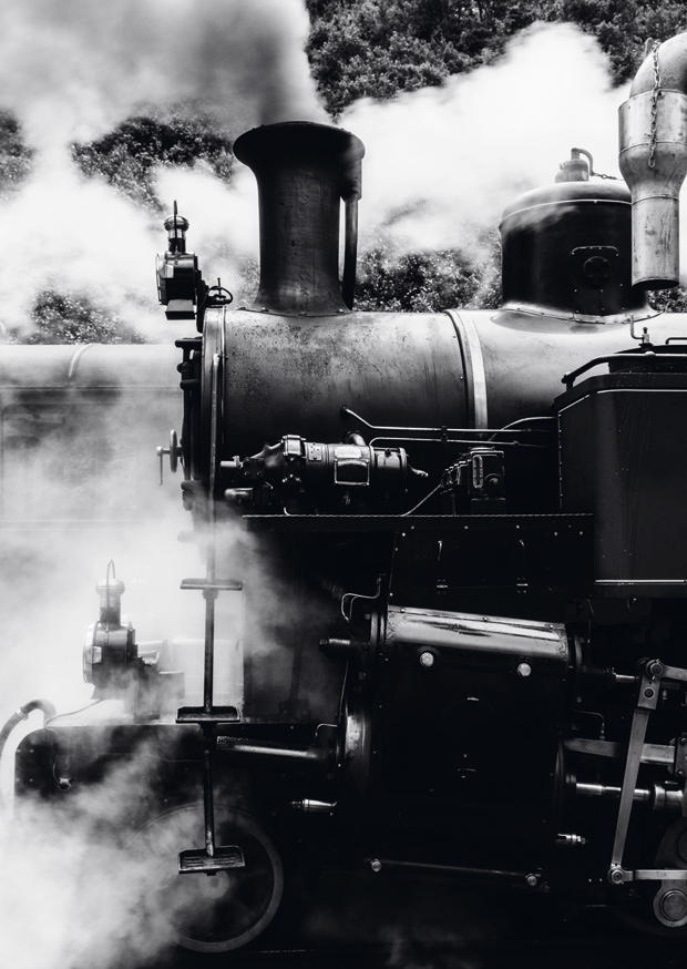 STEAM TRAIN