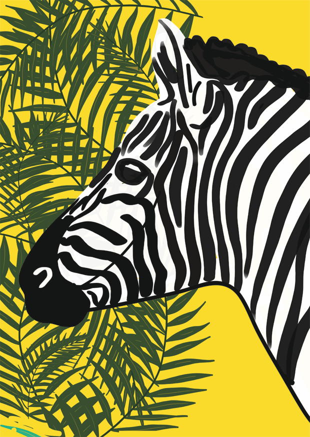 ZEBRA