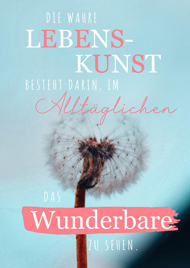 IM ALLTÄGLICHEN DAS WUNDERBARE