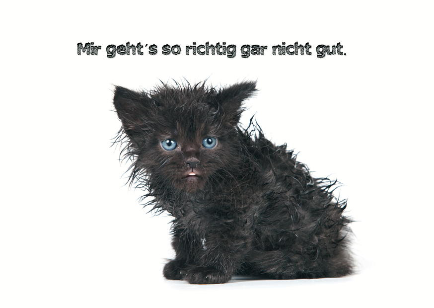 GAR NICHT GUT
